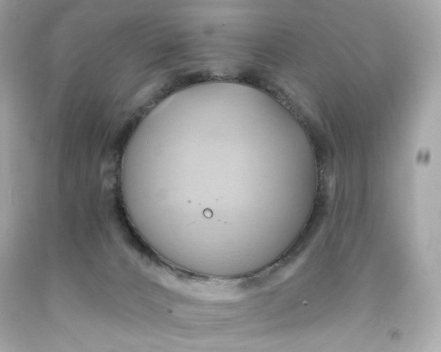 X0000091580032200709101029