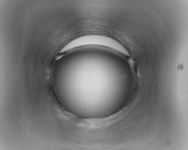 X0000091580033200709101029