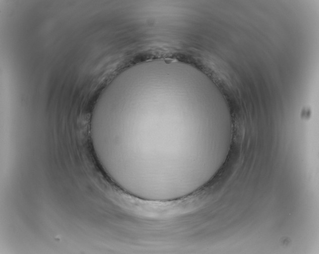 X0000091580034200709101029