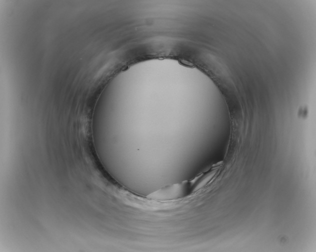 X0000091580035200709101029