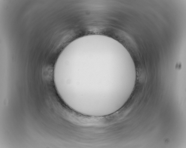 X0000091580036200709101029