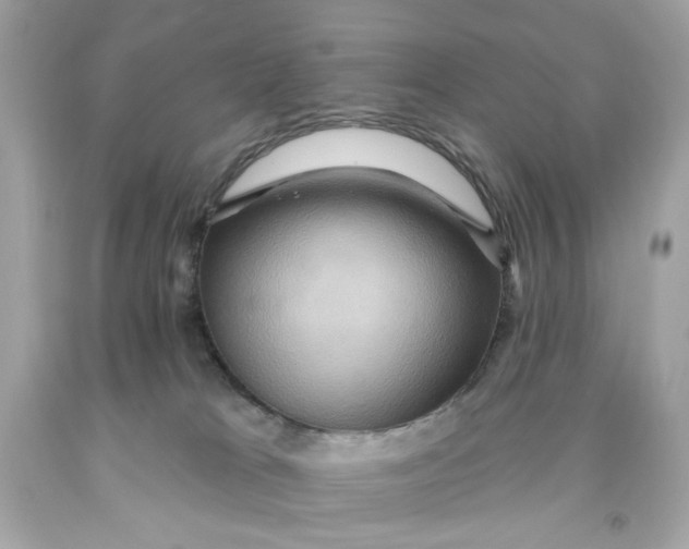 X0000091580037200709101029