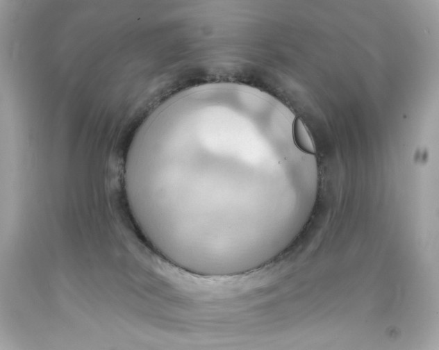 X0000091580038200709101029