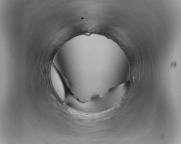 X0000091580039200709101029