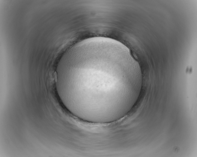 X0000091580040200709101029