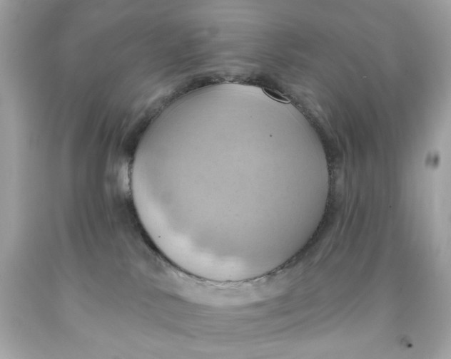 X0000091580042200709101028