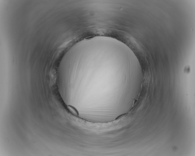 X0000091580043200709101028