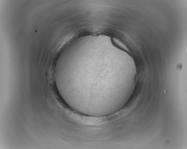 X0000091580044200709101028