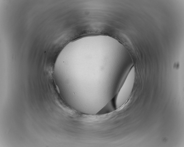 X0000091580045200709101028