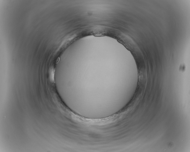 X0000091580046200709101028