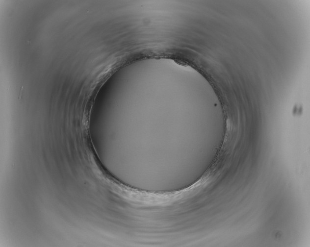 X0000091580048200709101028