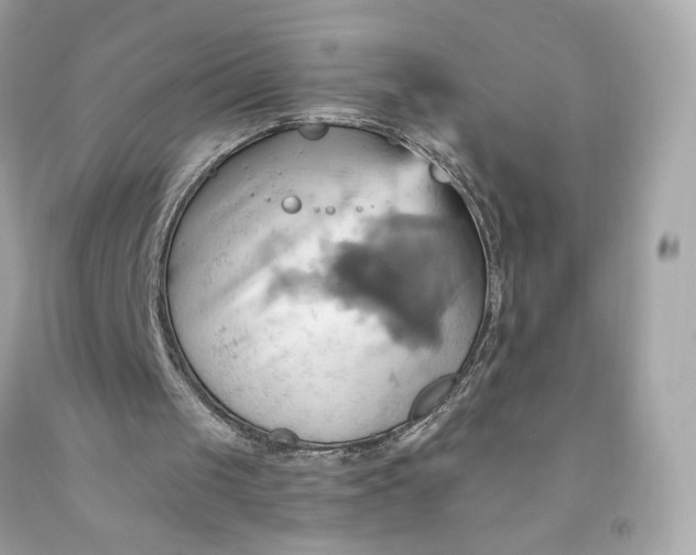 X0000091580049200709101028