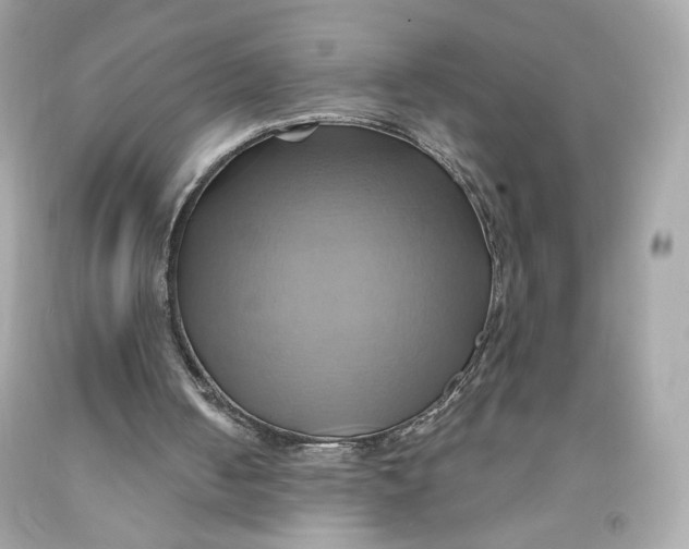 X0000091580050200709101028