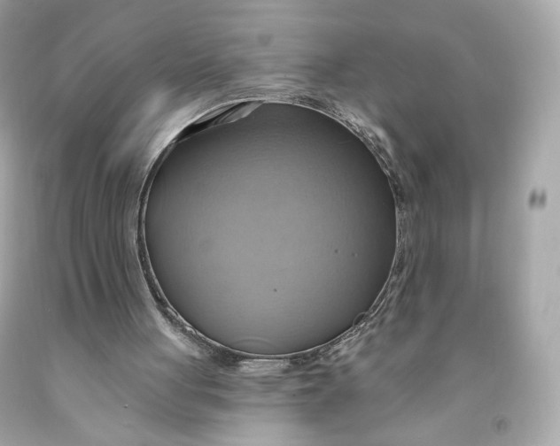 X0000091580051200709101028