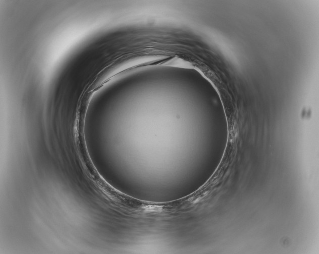 X0000091580052200709101028