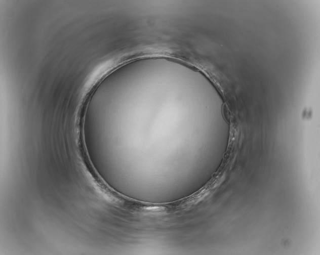 X0000091580053200709101028