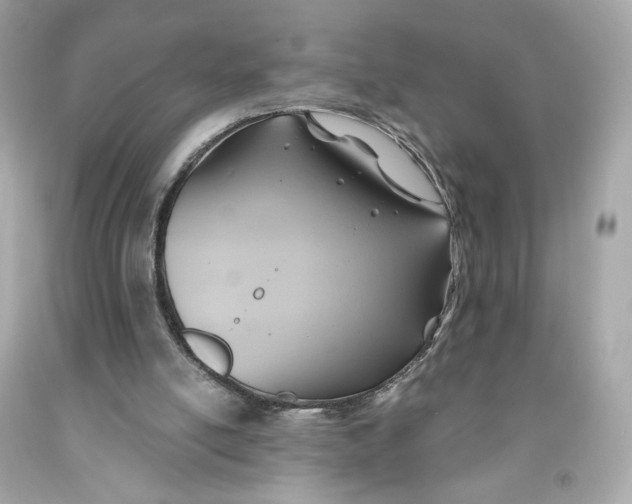 X0000091580054200709101028