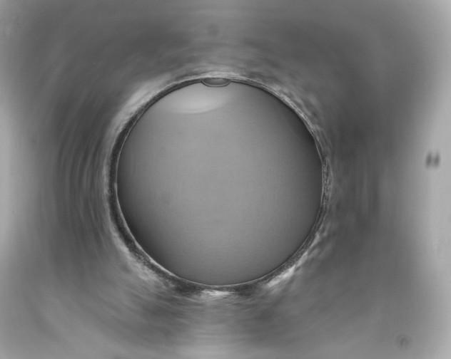 X0000091580055200709101028