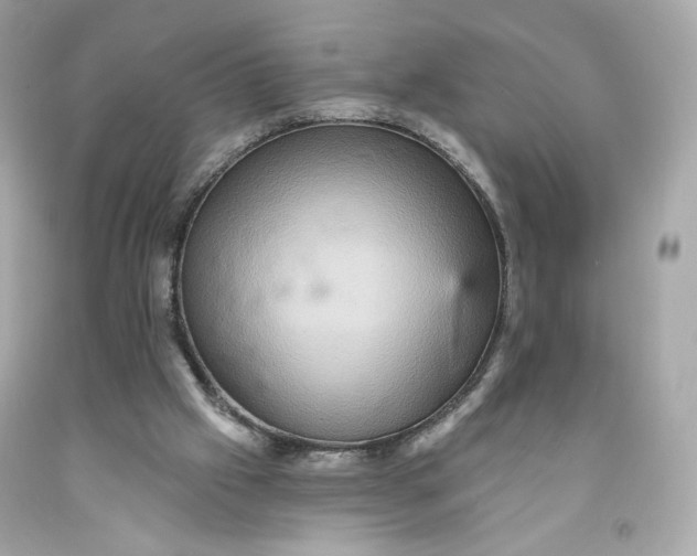 X0000091580057200709101028