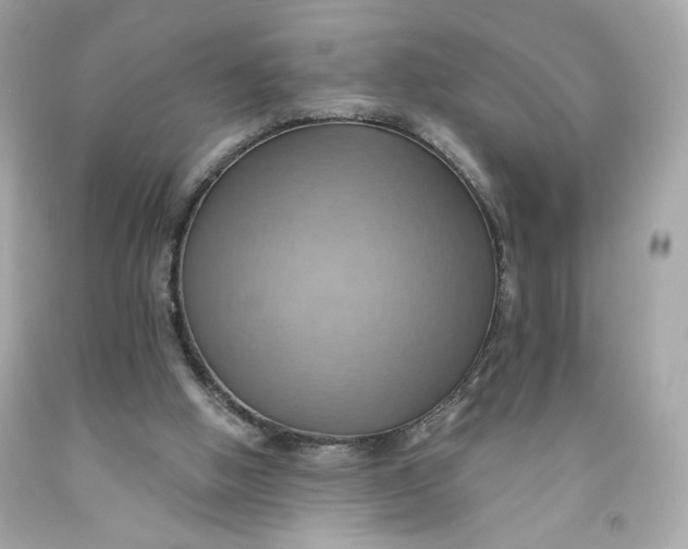 X0000091580058200709101028