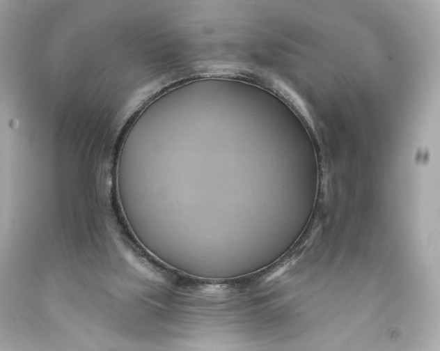 X0000091580059200709101028