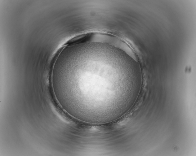 X0000091580060200709101028