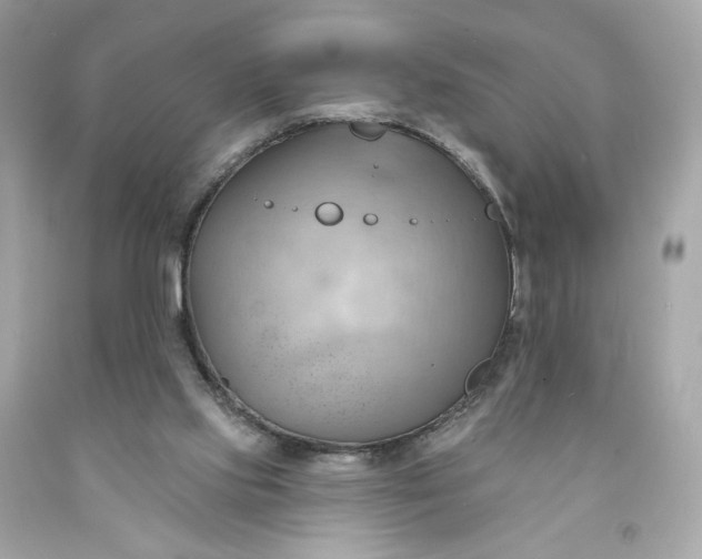 X0000091580061200709101028