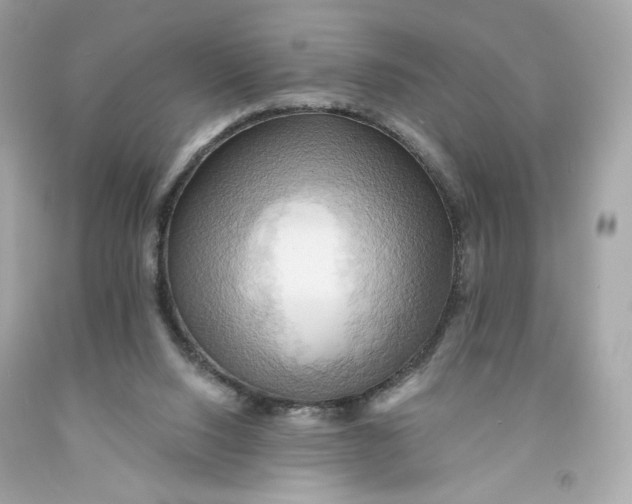 X0000091580064200709101028