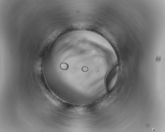 X0000091580065200709101028