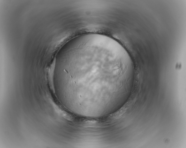 X0000091580066200709101028