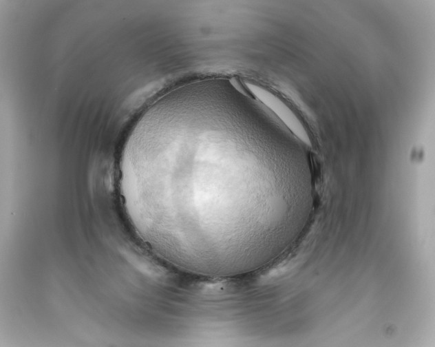 X0000091580068200709101028