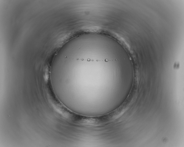 X0000091580069200709101028