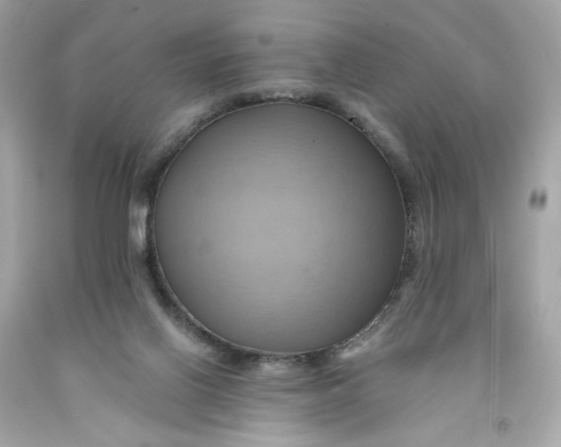 X0000091580070200709101028