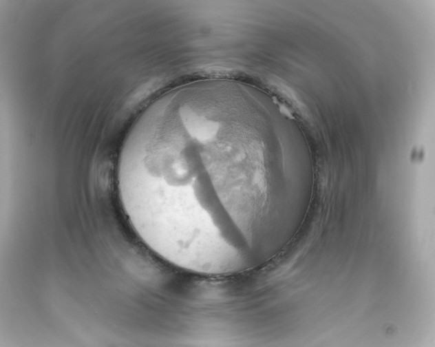 X0000091580071200709101028