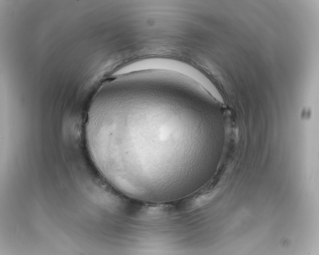 X0000091580072200709101028