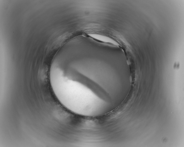 X0000091580073200709101028