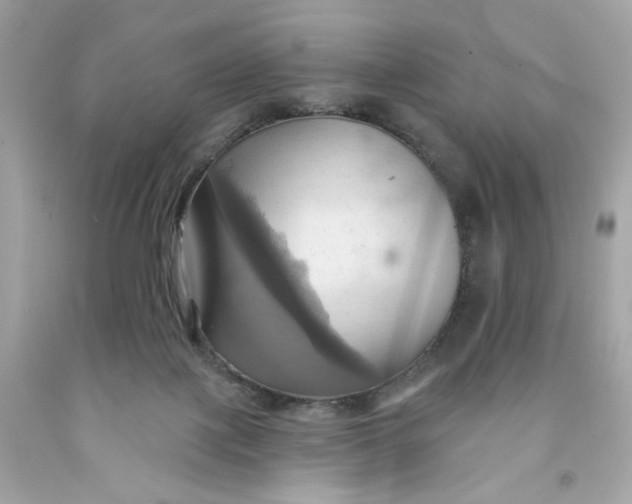 X0000091580075200709101028