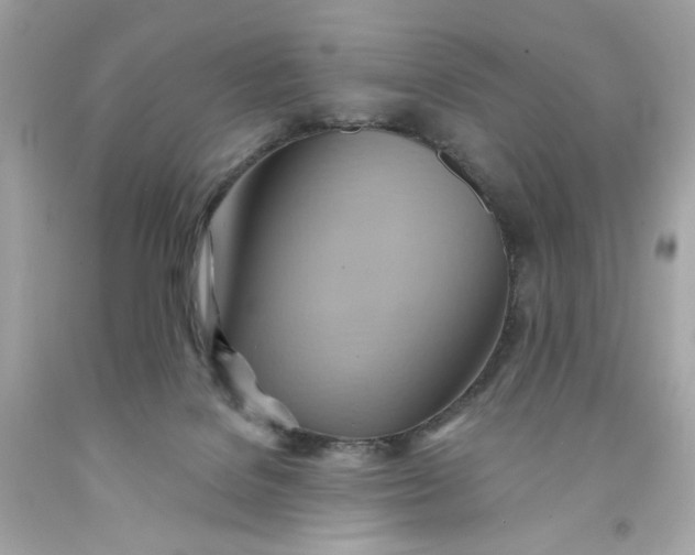 X0000091580076200709101028