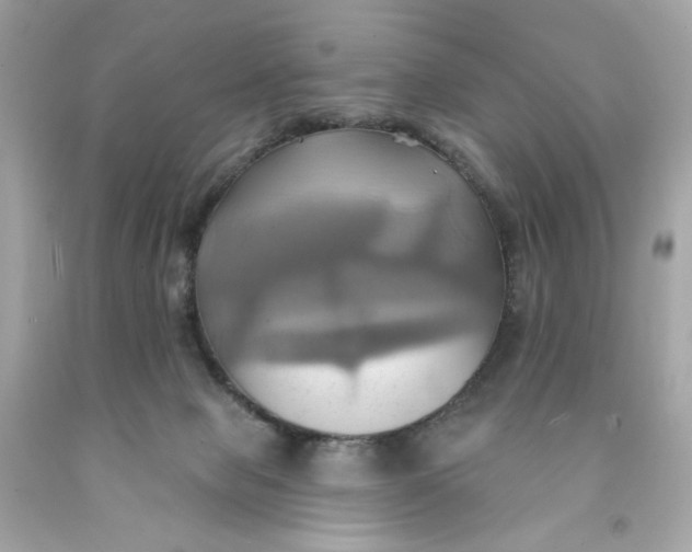 X0000091580077200709101028