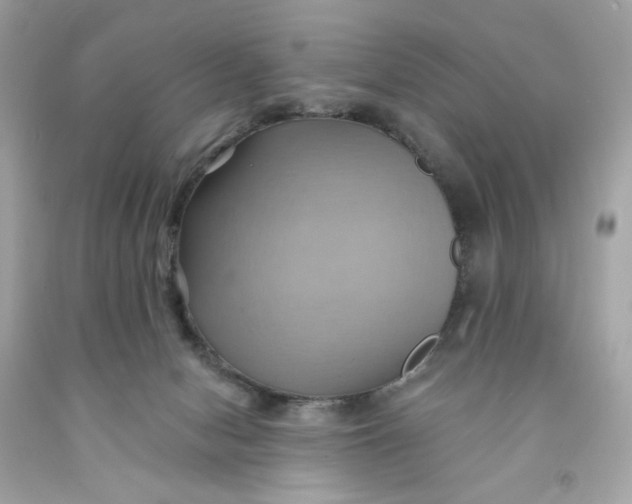 X0000091580078200709101028