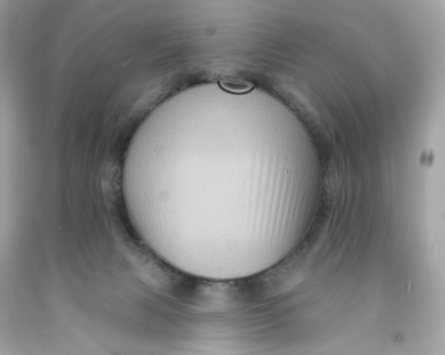 X0000091580079200709101028