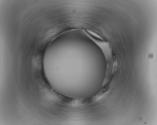 X0000091580080200709101028