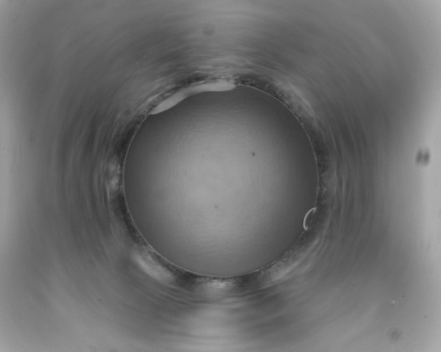 X0000091580081200709101028