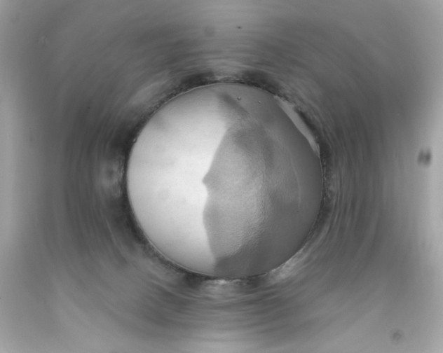 X0000091580082200709101028