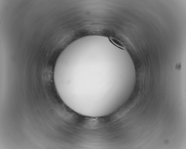 X0000091580083200709101028