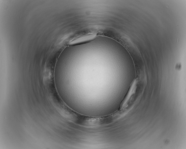 X0000091580084200709101028