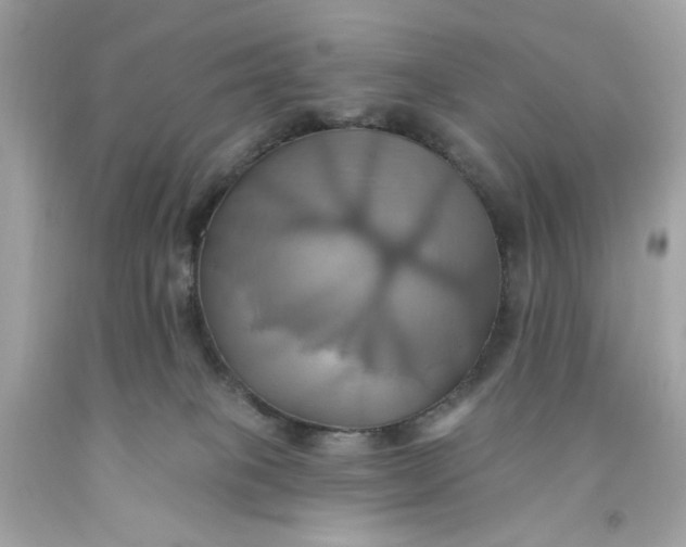 X0000091580085200709101028