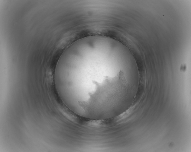 X0000091580086200709101028