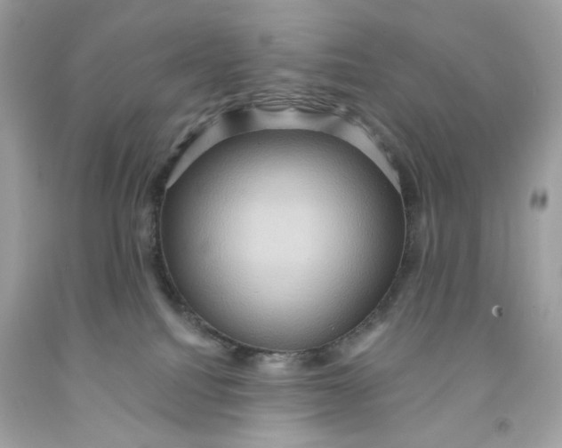 X0000091580088200709101028