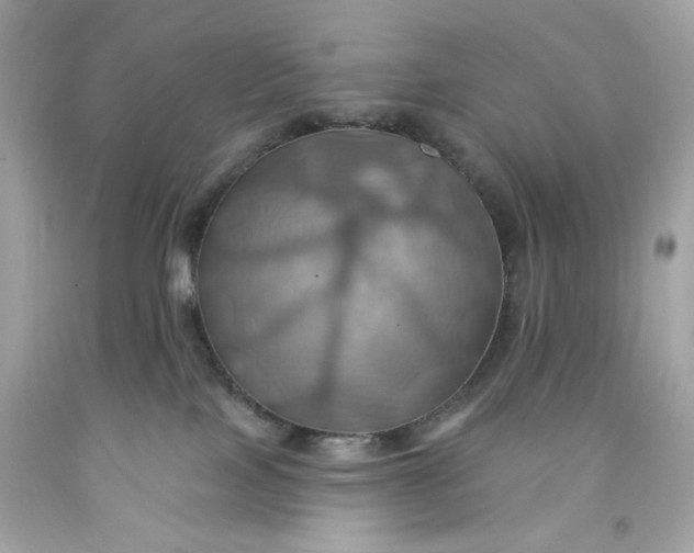 X0000091580089200709101028